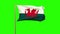 Wales flag waving in the wind. Green screen, alpha