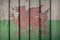 Wales Flag Wooden Fence