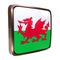 Wales icon flag