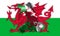 Wales National Flag With Country Name On It 3D illustration