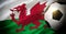 Wales national team background with ball and flag top view