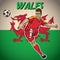 Wales soccer player with flag background