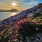 Wales Swansea, UK. Dragon\\\'s Rest: A Majestic Worm\\\'s Head Sunset in Wales