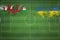 Wales vs Ukraine Soccer Match, national colors, national flags, soccer field, football game, Copy space