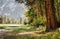 Walk along the picturesque Yosemite Park. A lonely bench and majestic nature