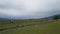 Walk along the steppe road. A herd of cows grazing on the field. Beautiful view of the picturesque mountains