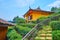 Walk amid the tea shrubs, Ban Rak Thai Yunnan tea village, Thailand