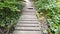 Walk through autumn forest on footpath across damaged small wooden bridge over little creek with trees in healthy environment