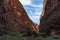 The walk into Catherdral Gorge, Purnululu, National Park