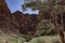 The walk into Catherdral Gorge, Purnululu, National Park