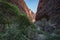 The walk into Catherdral Gorge, Purnululu, National Park