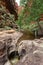 The walk into Catherdral Gorge, Purnululu, National Park