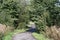 Walk in a countryside pathway through trees