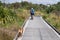 Walk and cycleway through Matua Salt Marsh