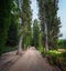 Walk of the Cypress Trees at Generalife Gardens of Alhambra - Granada, Andalusia, Spain