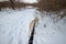 Walk the dog in winter yellow Labrador retriever