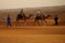 Walk in the ERG desert in Morocco