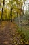 Walk in the forest at the wire mesh fence