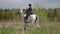 walk with horse at nature, professional horse rider woman is sitting on white stallion