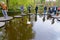 Walk on the lake. Visitors in Keukenhof Gardens. Landscape with a swan