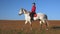 Walk on the lawn horse riding horsewoman. Slow motion. Side view