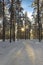 A walk through a little Swedish village on a sunny winterday