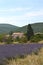 Walk in the luberon, saint michel de l`Observatoire and Banon in the Vaucluse, France