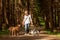 Walk with many dogs on a leash. Dog walker with different dog breeds in the forest