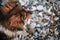 Walk with mix breed dog in fresh air in nature. Portrait of charming fluffy brown and white mongrel close up on beach against