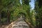 Walk of the Oleanders (Paseo de las Adelfas) at Generalife Gardens of Alhambra - Granada, Andalusia, Spain