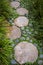 Walk path with stepping stones and vegetation, garden landscape
