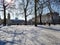 Walk path way snow winter day hyde park buckingham palace road street sun sunshine warm light winter day London city uk