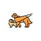 Walk with pets golden retriever and spitz color line icon. Dog training.