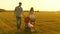 Walk with small child in stroller in nature. happy family walks with little daughter in a field on meadow at sunset