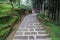 The walk way at Alishan national park area in Taiwan