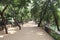 Walk way inside the Crocodile zoo in Chennai