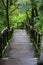 Walk way into rain forest, Inthanon mountain,Chiang Mai, Thailand