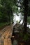 A walk through the woods on a beautiful plank path