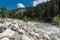 The Walker River, in Alpine County, California, near Walker / Coleville California, on US 395 highway