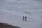 Walkers on Beach and North Sea, Overstrand, Cromer, Norfolk, UK