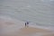 Walkers on Beach and North Sea, Overstrand, Cromer, Norfolk, UK