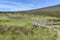 Walkers footbridge with circular sheepfold behind