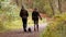 Walkers in Glenarm Forest Co Antrim Northern Ireland Autumn at sunset Golden hour