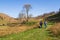 Walkers on the Lancashire Way