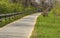 Walkers on the Roanoke River Greenway