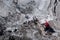 Walkers secured with ropes preparing to cross alpine glacier in