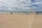 Walkers with strollers family on the beach Sea