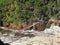 Walking across the Suspension Bridge, Tsitsikamma National Park