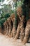 Walking alleys in the Park Guell, Barcelona, Spain.