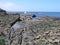 Walking along the the coastal path on filey brigg east coast yorkshire.